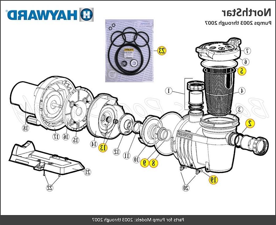 Hayward #121 O-Ring