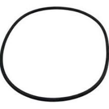 Hayward Strainer T-Ring