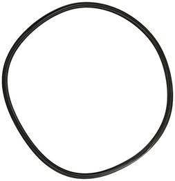 Hayward SPX4000TS Strainer Cover T-Ring